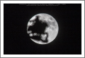 super luna, Genova